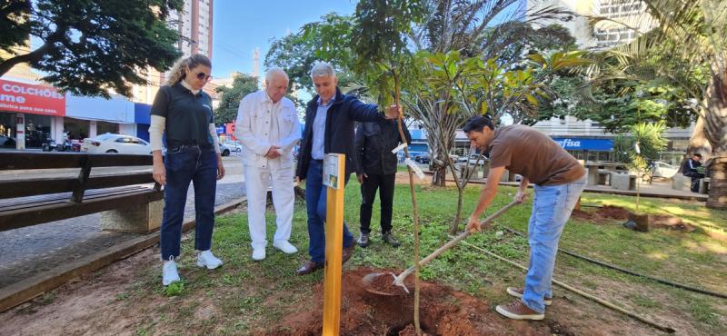 Primeiras mudas foram plantadas na manhã desta sexta-feira