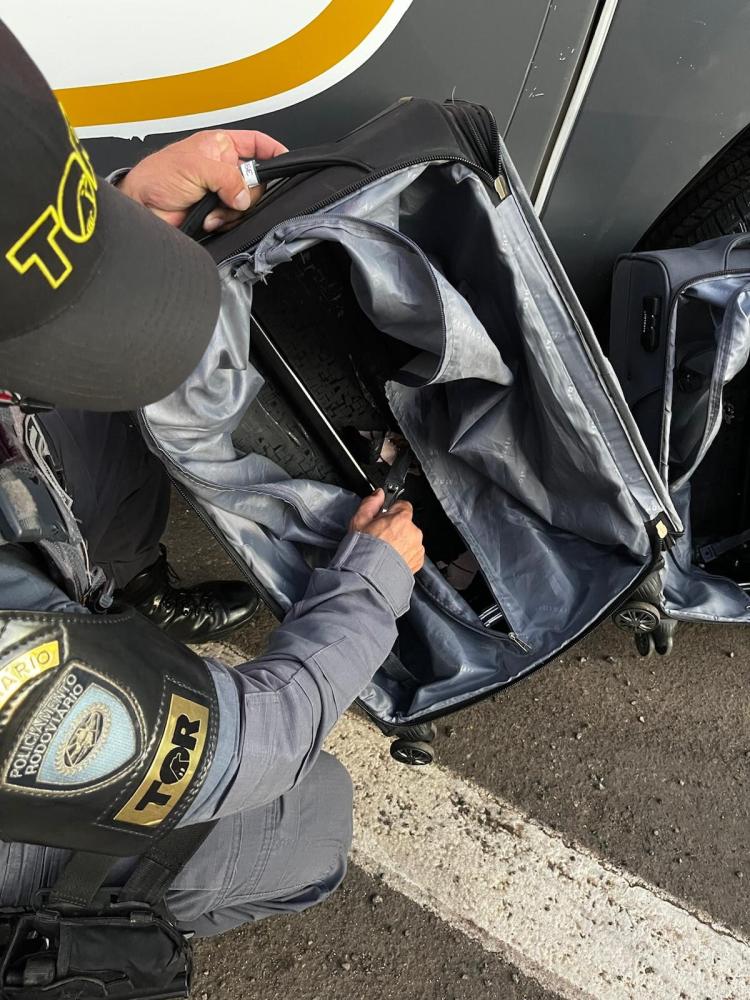Em Bernardes, dupla foi surpreendida com porções de haxixe escondidas em fundos falsos de duas malas