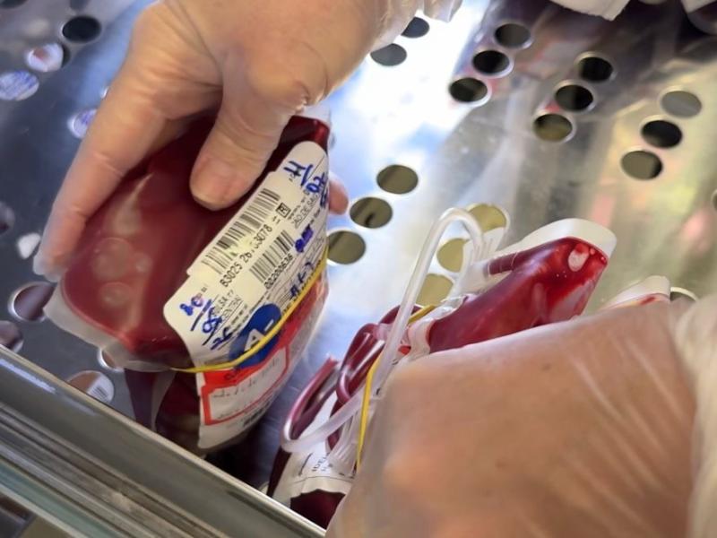 Núcleo de Hemoterapia do HR precisa de sangue dos tipos A, B, AB, O e O+
