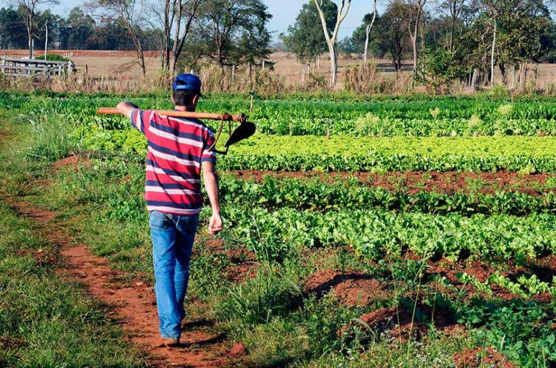 Iniciativa fortalece lideranças e promove inovação no agronegócio