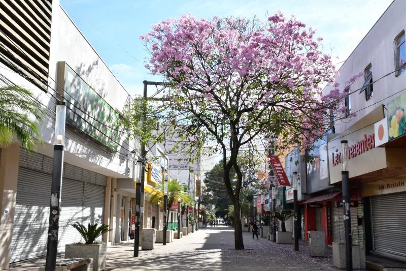 3ª Caminhada do Junho Violeta ocorre neste sábado, no centro de Prudente