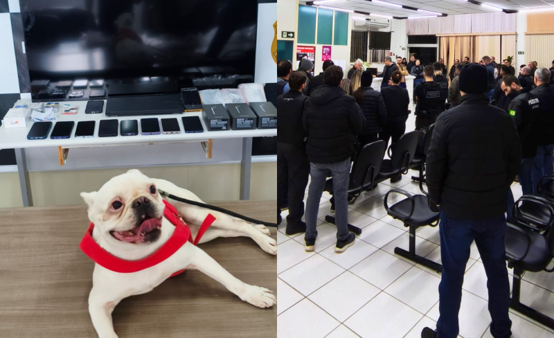 Diversos eletrônicos, além de cão com registro de apropriação de coisa achada, foram apreendidos
