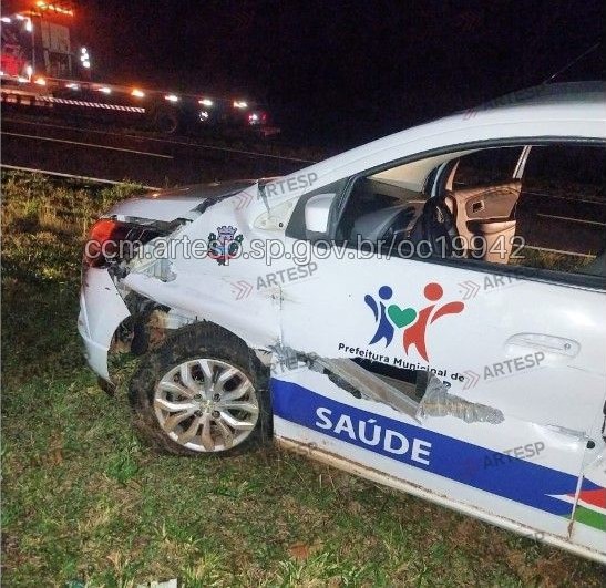 Automóvel trafegava pela pista norte quando uma capivara entrou repentinamente na faixa de rolamento