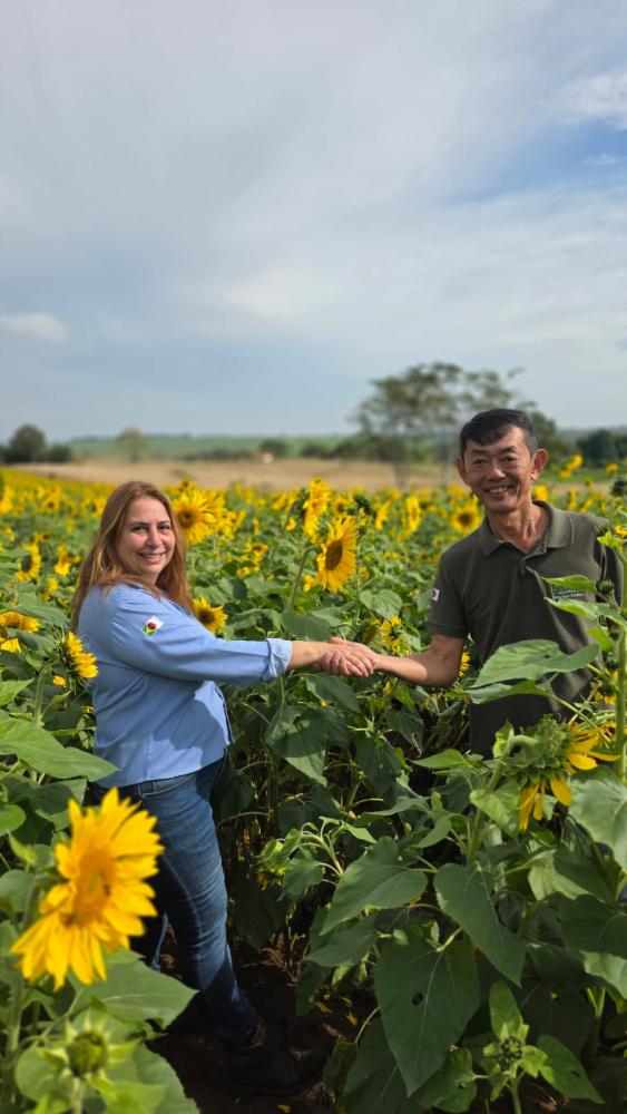 CRIS E FRED SUZUKI NO CAMPO DE GIRASSÓIS DO SITIO SUZUKI