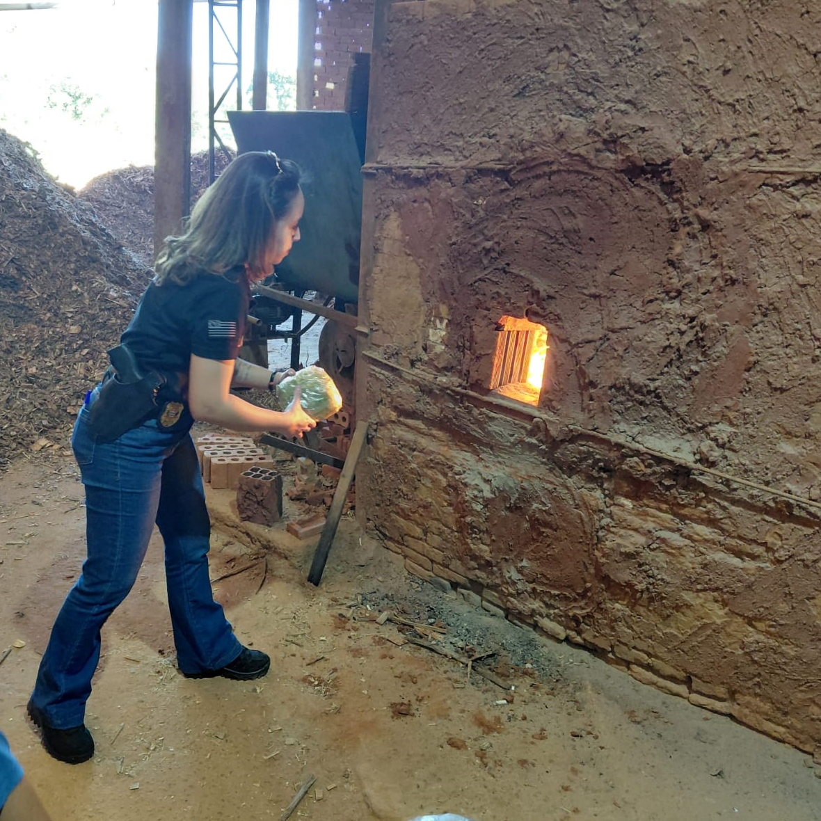Mais de 57 kg de drogas são destruídas em Paulicéia
