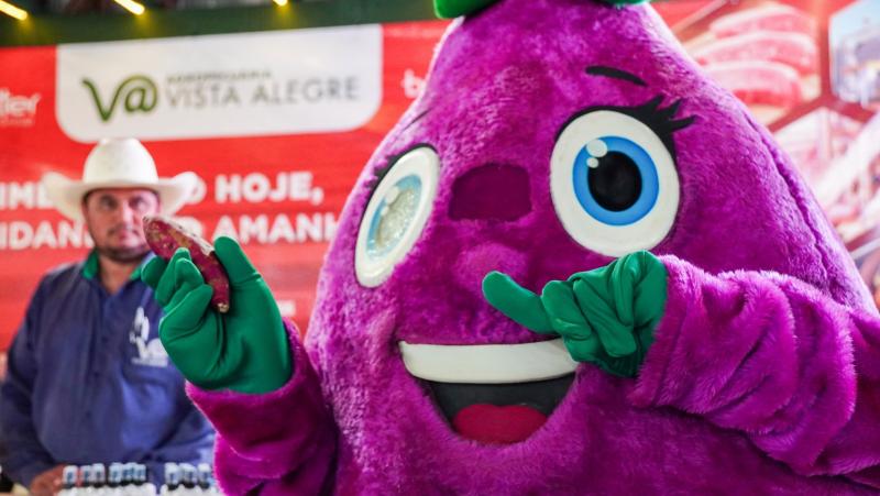 8ª Batatec - Agropecuária Vista Alegre já tem confirmações de parceiros e expositores
