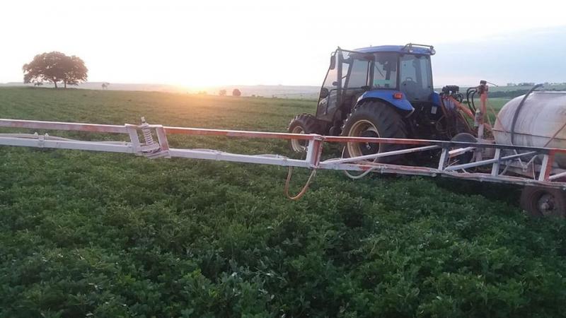 Cedida/Rodrigo Scapin - Em três anos, agricultor aumento área de 45 para 300 há destinados ao amendoim