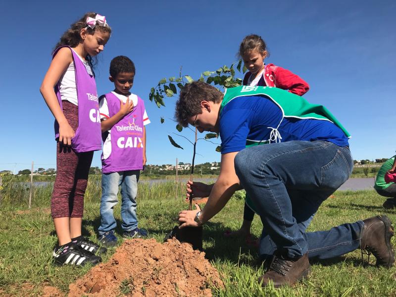 Gabriel Buosi - Crianças participaram do plantio de 30 mudas de árvores