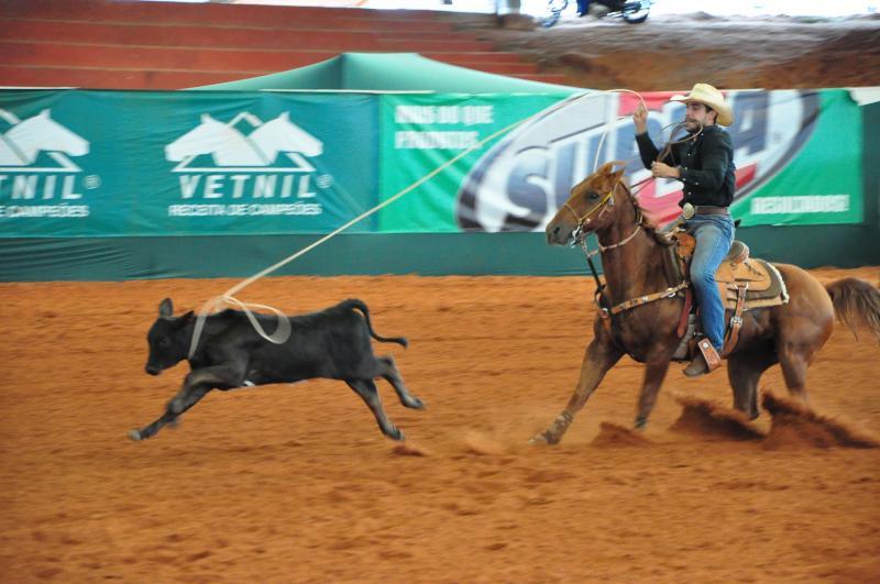 José Reis - Nas seis modalidades, segundo a organização, participam 308 competidores e 630 cavalos