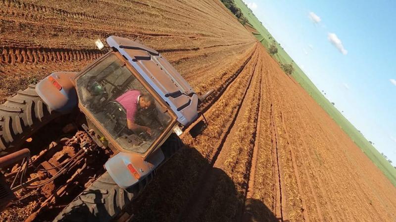 Arquivo - Atividade agropecuária teve o melhor desempenho, com saldo de 16 vagas de emprego