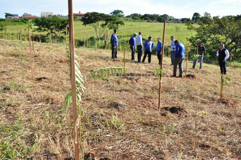 José Reis  - Plantio ocorreu em dois dias e somou 578 árvores plantadas pela pasta no Cambuci