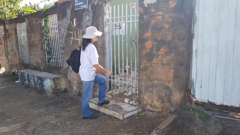 Vigilância Epidemiológica: Técnicos percorreram ruas com orientações e recolhimento