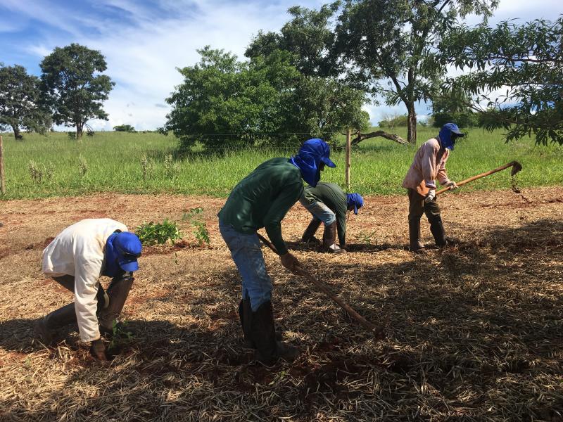 Cedida/Instituto Ipê - Projeto foi desenhado via compensação ambiental e vai além dos benefícios ambientais