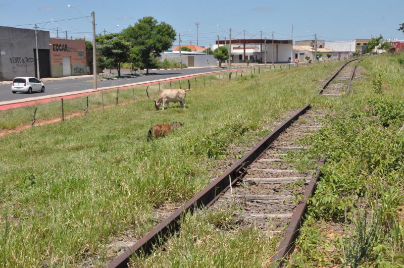 Arquivo - UEPP quer reativação do trecho que liga Prudente a Epitácio