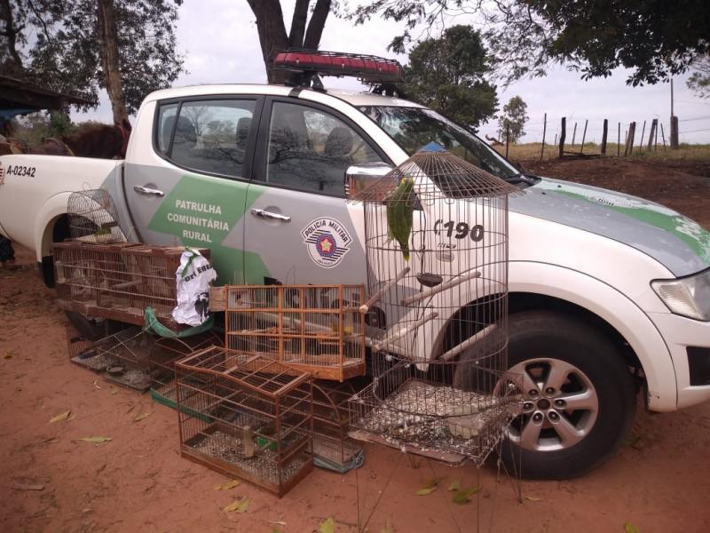 Polícia Militar Ambiental - Gaiolas estavam em uma residência na zona rural de Regente Feijó