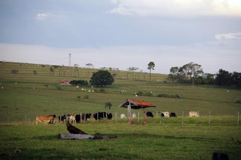 Arquivo -  Declaração é obrigatória a qualquer pessoa dona ou possuidora de título de imóvel rural