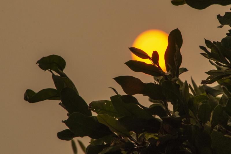 Cedida/Renato Pandur - Coloração do sol logo pela manhã era avermelhada e ao longo do dia se normalizou