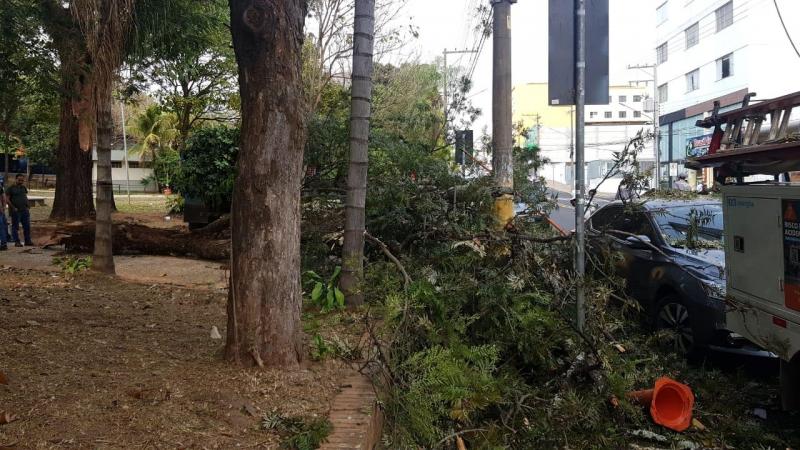 Cedida/Energisa Sul-Sudeste - De acordo com o Corpo de Bombeiros, ninguém se feriu, mas um carro foi atingido