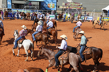 José Reis - Ontem, cavaleiros e cowboys marcaram presença na arena