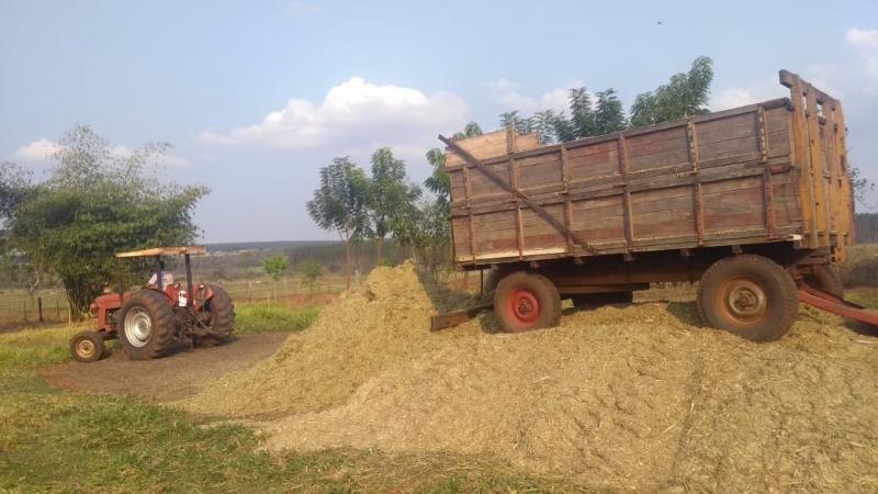 Fundação Itesp - Com restante da colheita, produtores fazem a silagem para alimentar o gado