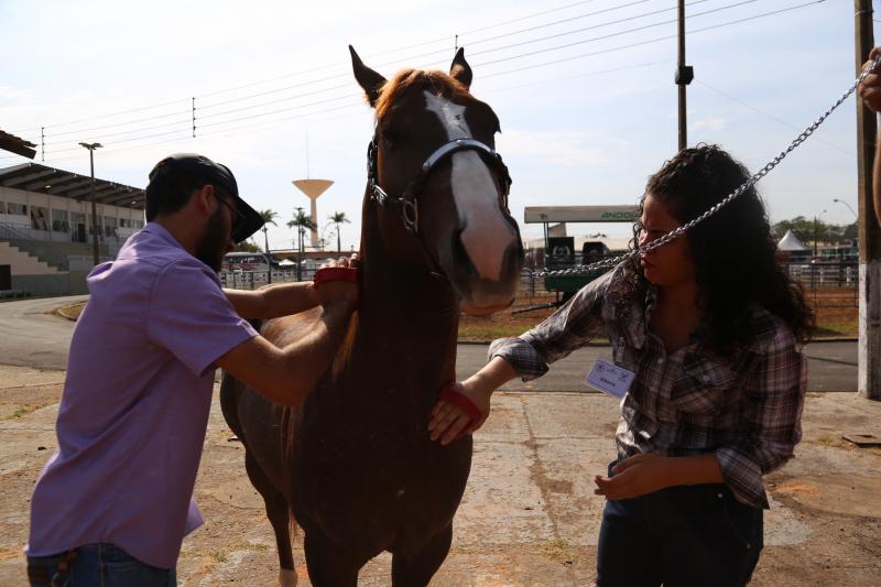 Marco Vinicius Ropelli - Maioria dos cavalos que participa das competições é da raça quarto de milha