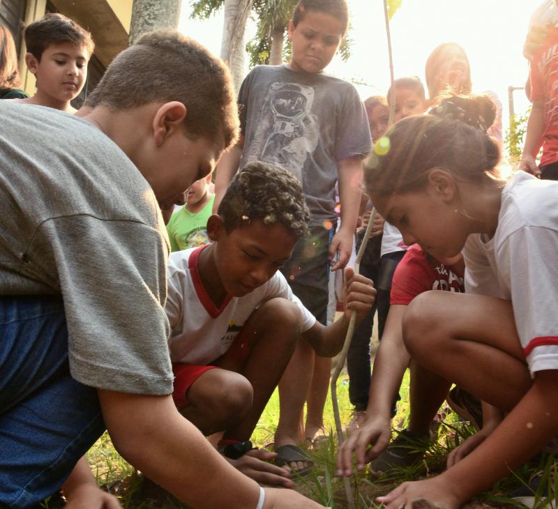 Paulo Miguel - Primeira muda, ontem, foi plantada na frente da escola; árvore é da espécie ipê roxa