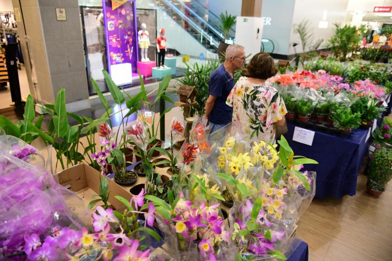 Paulo Miguel: Espetáculo de flores é realizado em parceria da Agro Flores e da Usei