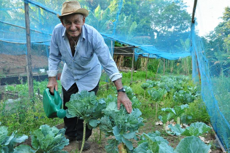 José Reis - Projeto estimula na comunidade local o cuidado com as áreas públicas