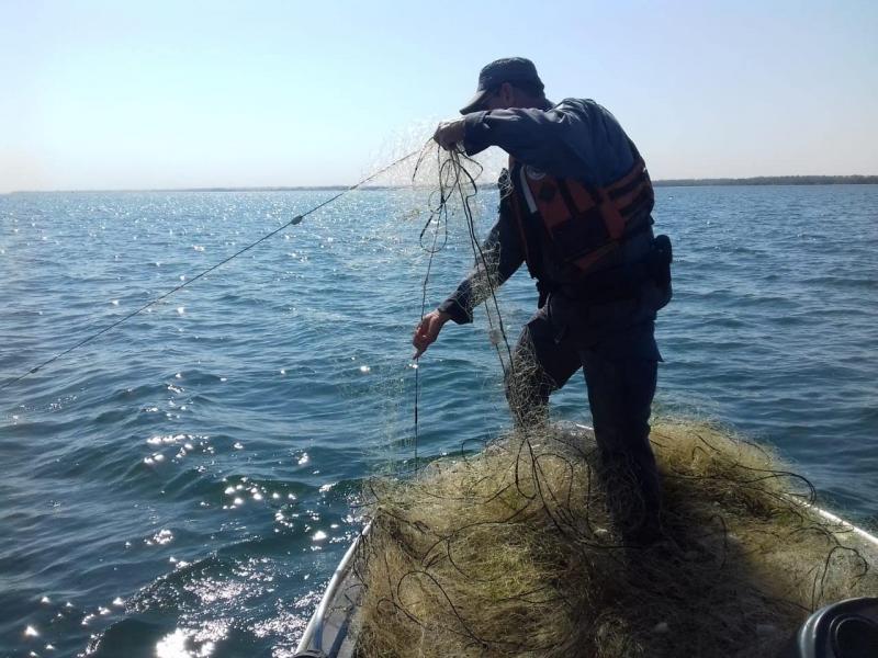 Polícia Militar Ambiental - Existem restrições dos tipos de pesca que podem ou não serem efetuados