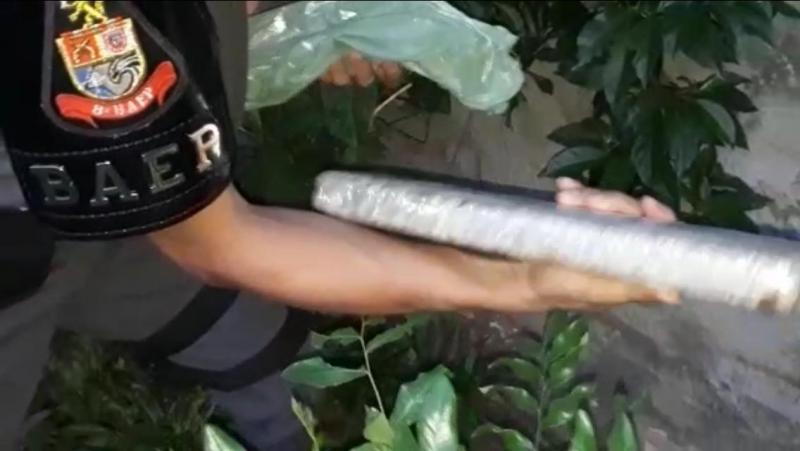 Polícia Militar - Tablete da droga foi encontrado por cão de faro