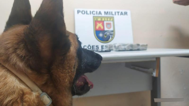 Polícia Militar - Drogas foram localizadas aos fundos do imóvel.