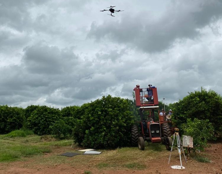 Nuvem UAV/Cedida - Monitoramento consiste em sobrevoar o pomar e capturar imagens das árvores