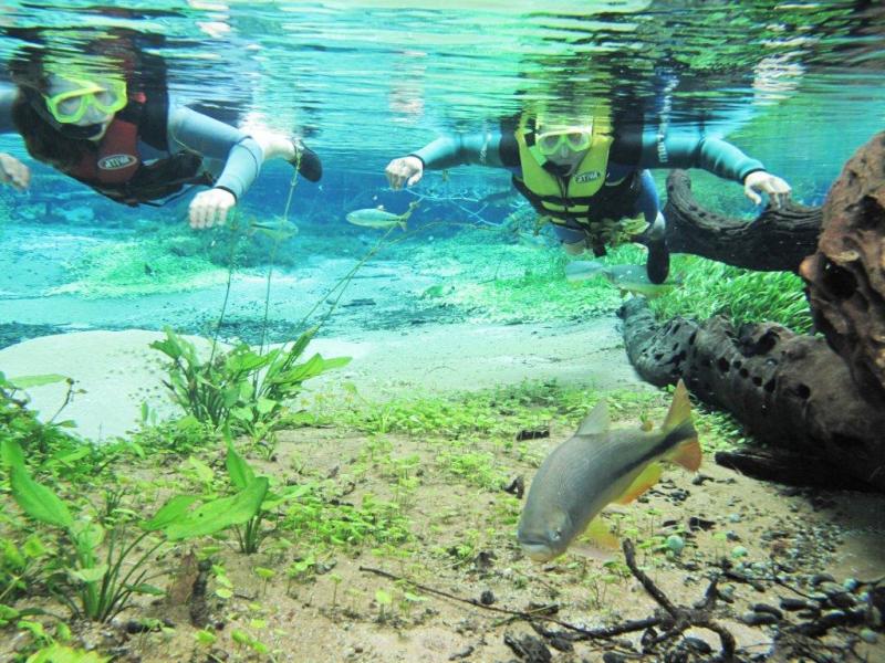 Piraputangas, dourados, piaus, corimbas e outros peixes aparecem para dar boas-vindas aos turistas