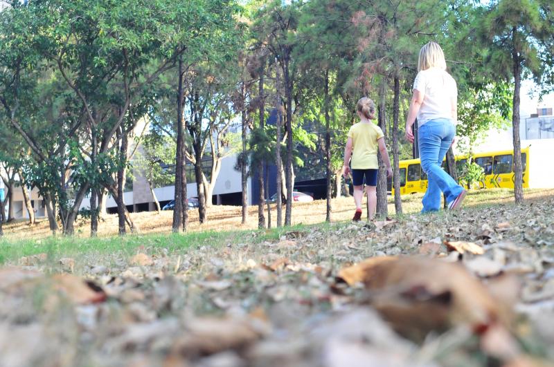 Arquivo - Tempo seco e pouca chuva marcaram 2019 dos prudentinos