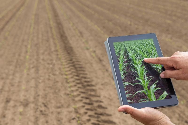 Divulgação/Unoeste - Profissional da área também verifica possibilidades de gerar vantagens para a agricultura