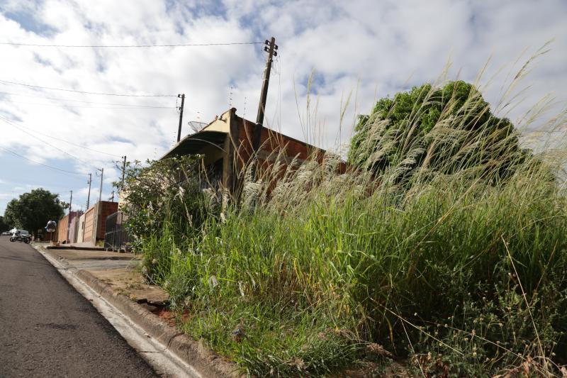 Isadora Crivelli - Casas estão muito próximas aos terrenos em situação de abandono