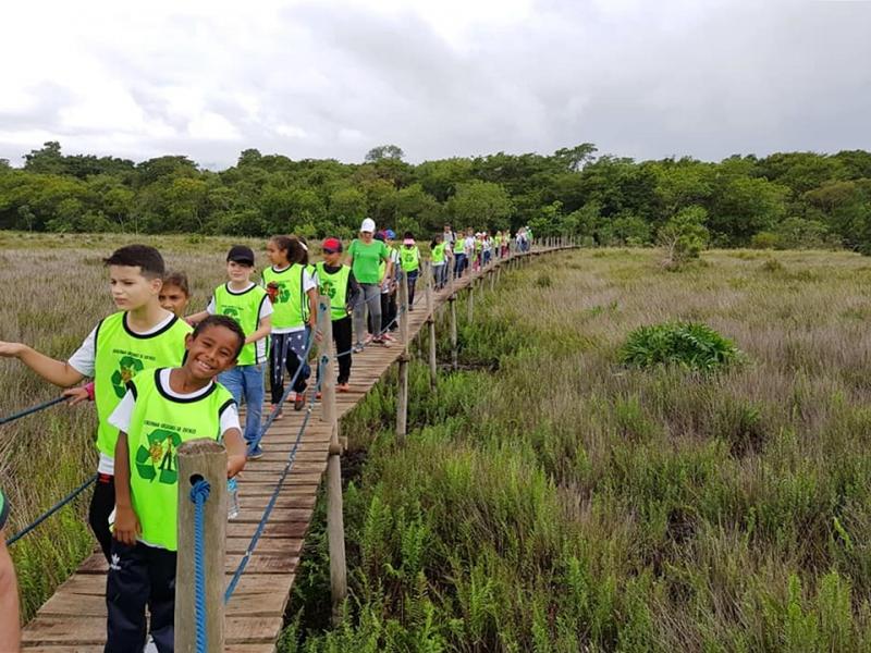 Wilton Felipe/Cedida - Com a descoberta no parque, houve aumento da distribuição geográfica da espécie no Brasil