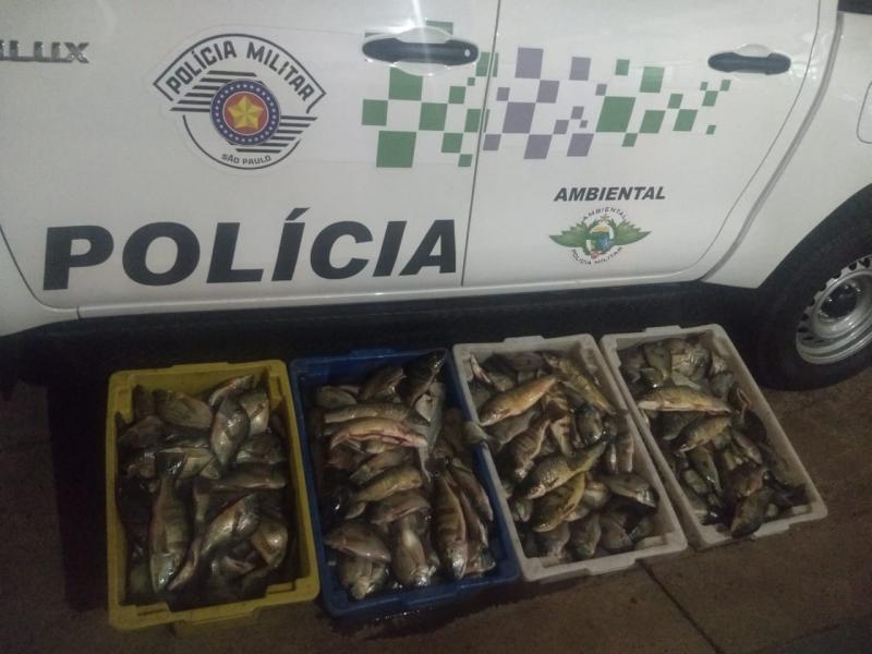 Cedida: Policiais apreenderam pescado em Panorama