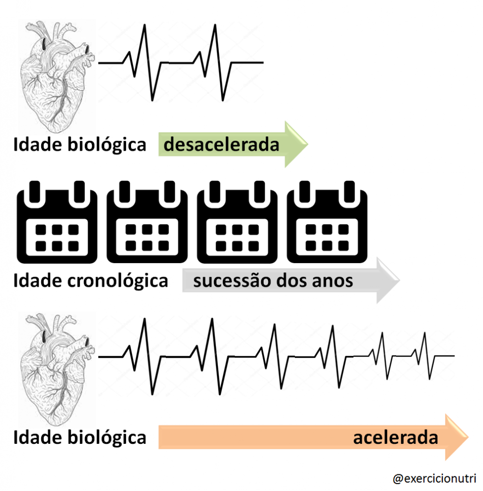 Jornal O Imparcial