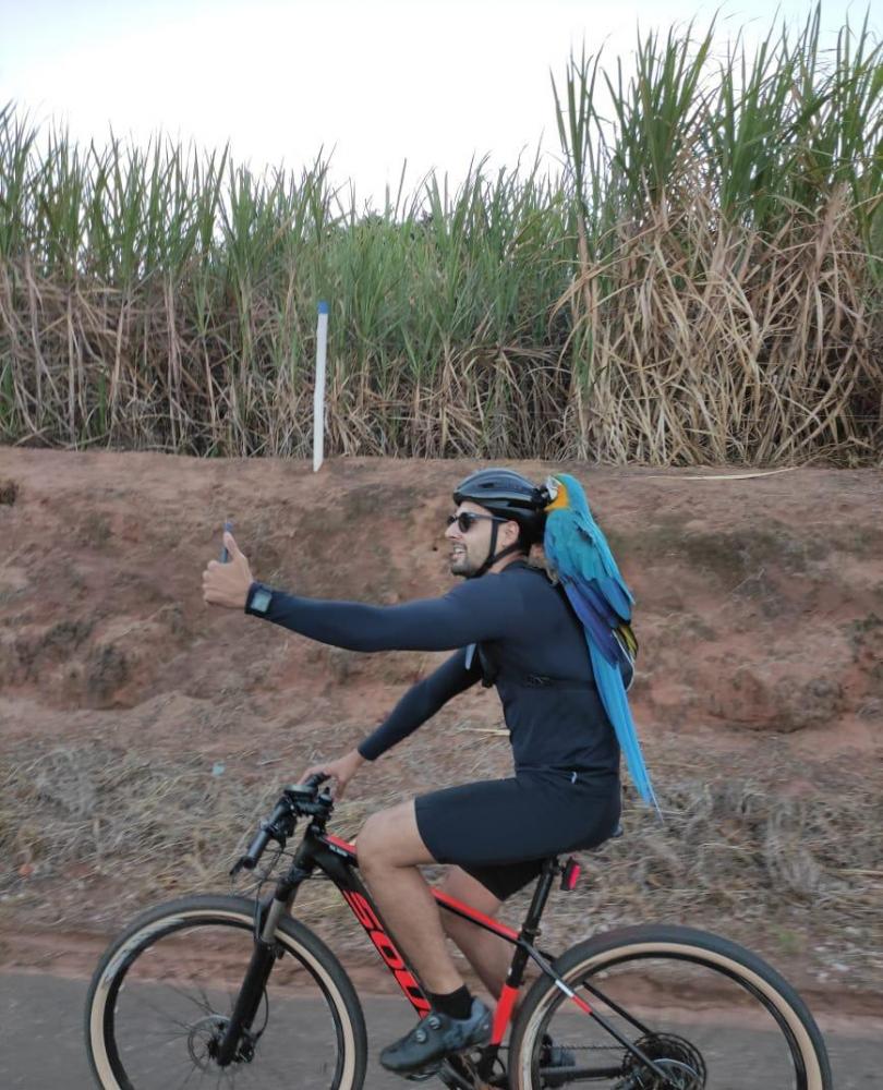 Arara ciclista Flórida Paulista Prudente