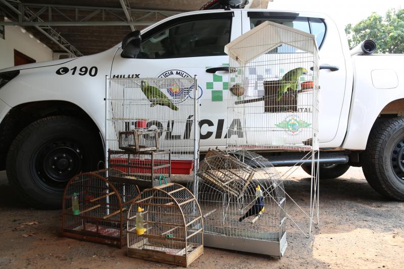 polícia ambiental realiza operação contra crimes à fauna silvestre na região de presidente prudente