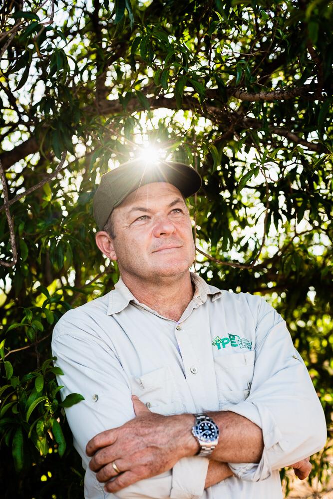 mata atlântica da região de Presidente Prudente recebera um milhão de árvores