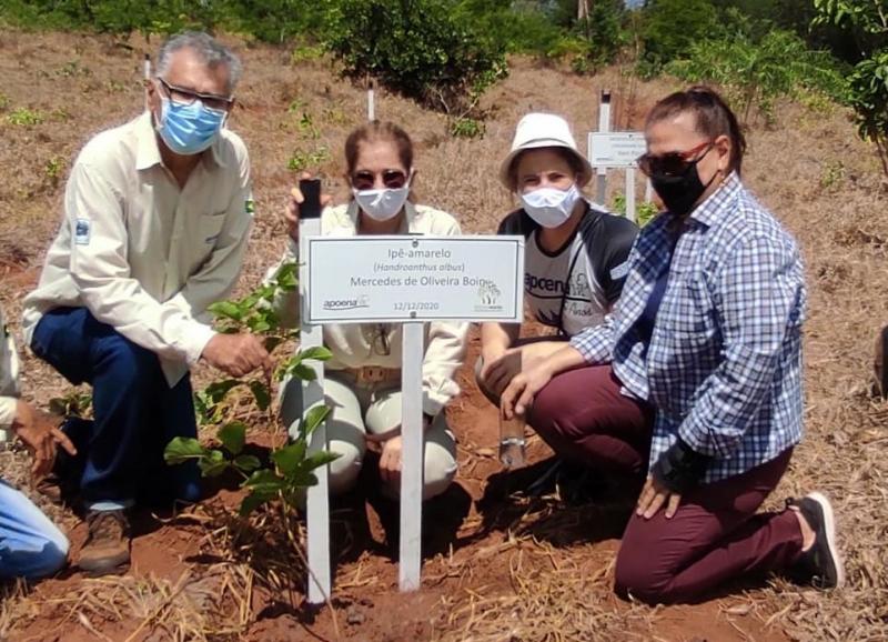 bosque das memórias homenageia vítimas da covid em presidente epitácio