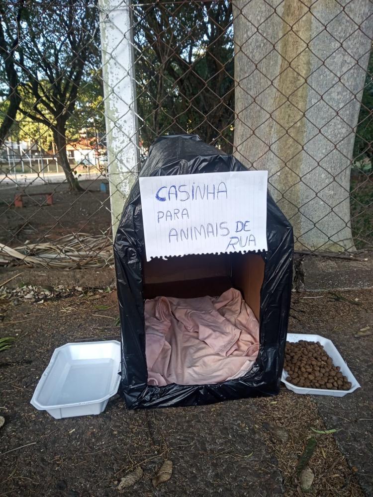 protetoras de animais promovem ações para amenizar frio de animais de rua em presidente prudente