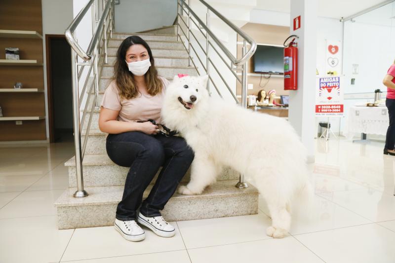 hospital veterinário presidente prudente câncer de mama pets