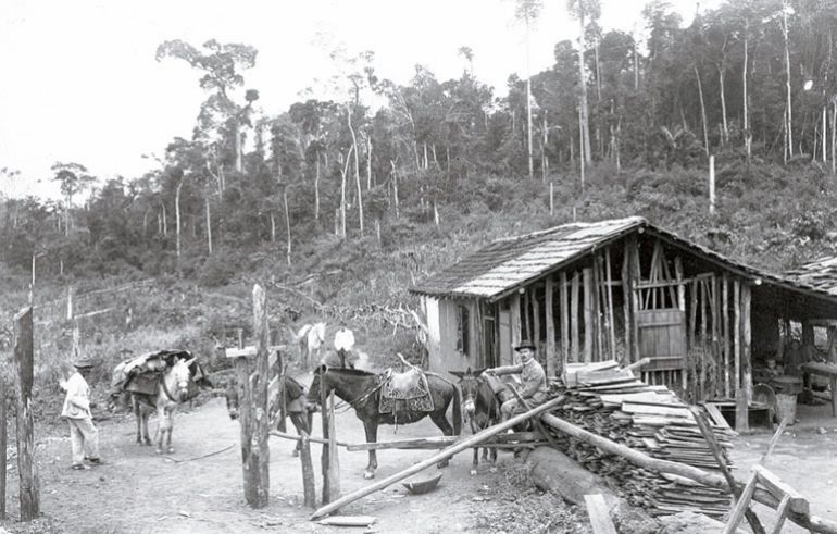 Cedidas/Acervo Museu e Arquivo Histórico, Tropeiros chegaram a terras prudentinas montados em cavalos