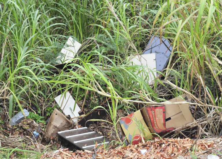 Marcio Oliveira, Área de preservação permanente acumula lixo irregular