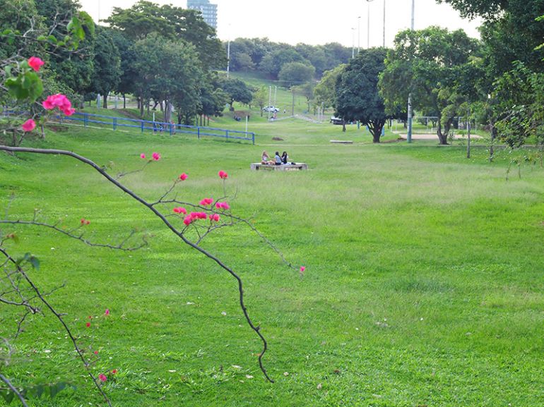 Arquivo, Com índice de 0,69, qualidade ambiental de áreas verdes urbanas de Prudente é considerada “satisfatória”, expõe estudo