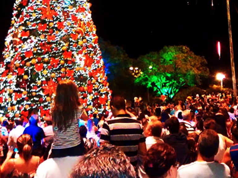 Arquivo, Que as milhares de pessoas que visitaram a enorme árvore de 2014 façam o mesmo em 2017