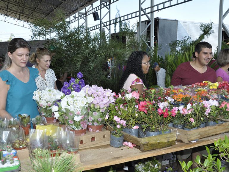 Arquivo, Apaixonados por flores e plantas poderão se divertir entre tantas opções que ficam à disposição, hoje e amanhã